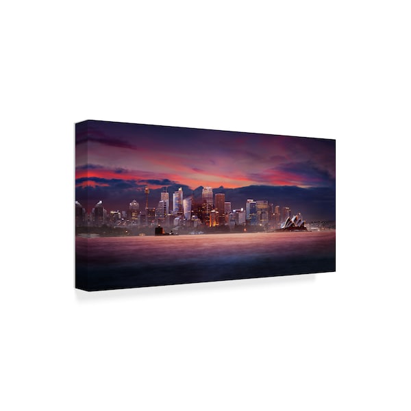 Atle Goutbeek 'Pink City' Canvas Art,12x24